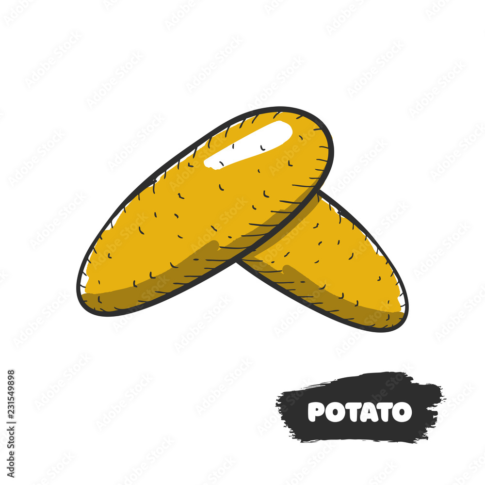 Vector illustration of hand drawing potato on white background. Vector illustration of hand drawing potato on white background.