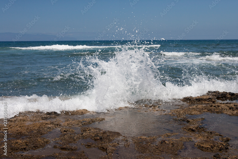 On the island of Tenerife / На острове Тенерифе