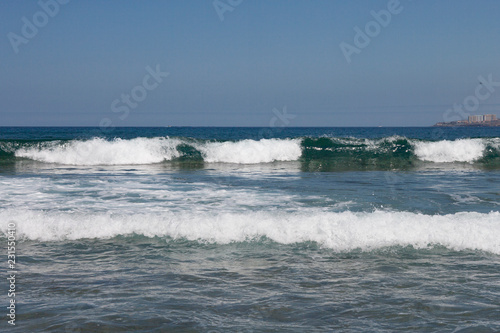 On the island of Tenerife / На острове Тенерифе