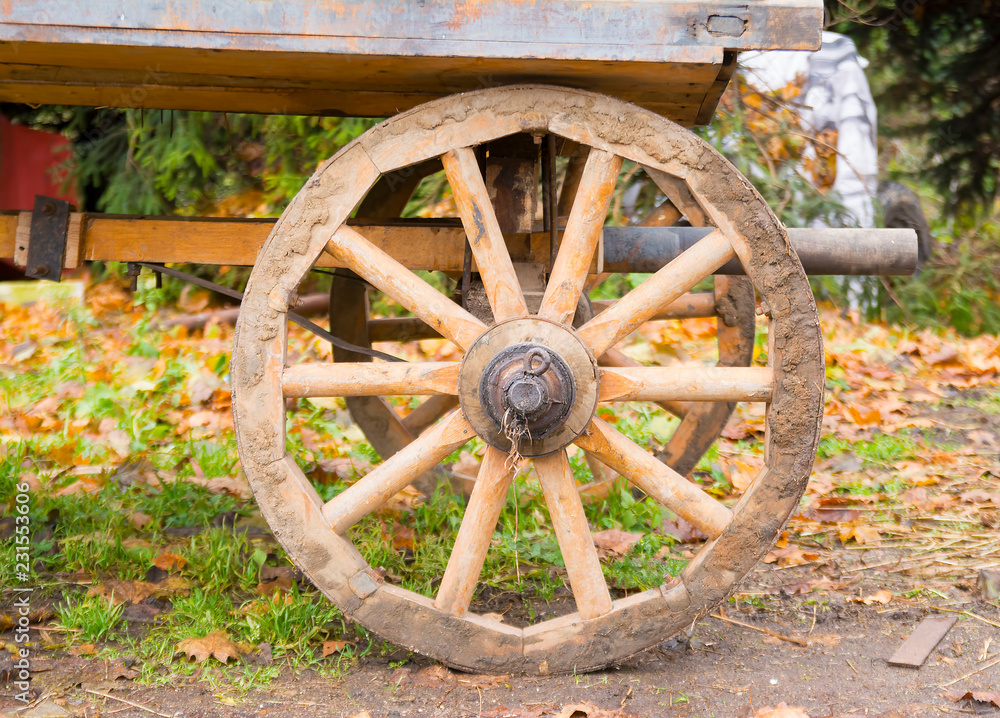 Wheel of an old wagon close-up outdoors.