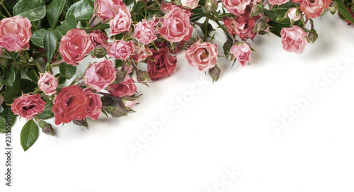 Fototapeta Naklejka Na Ścianę i Meble -  Dried roses isolated