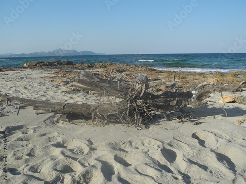 Naturstrand Mallorca photo