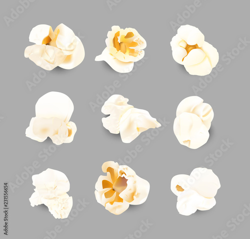 Realistic popcorn grains. Vector illustration on gray background. EPS10.