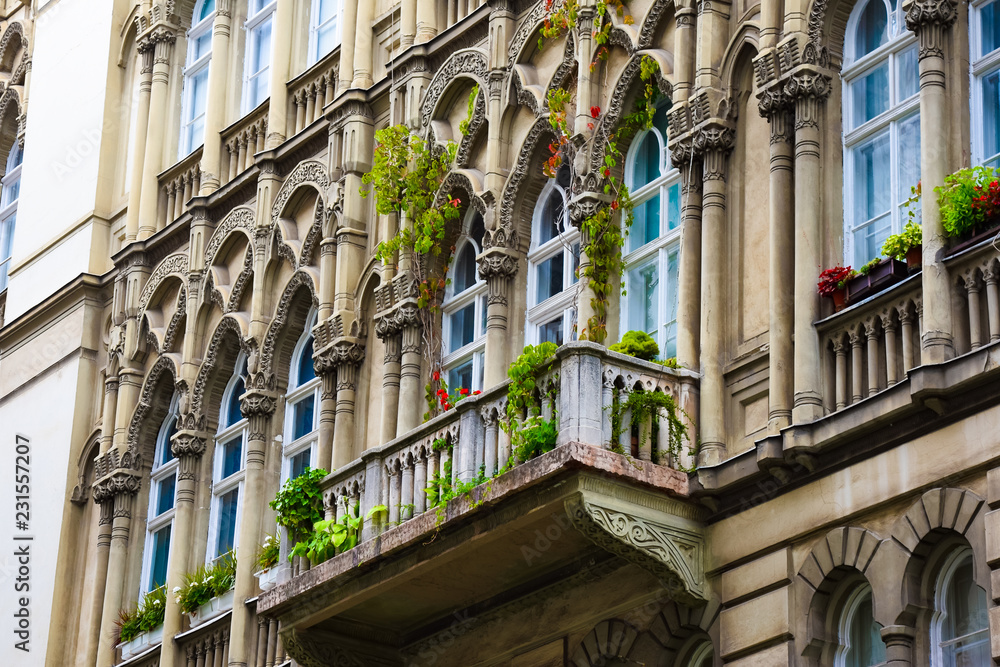 Fototapeta premium gothic balcony view with flowers and plants