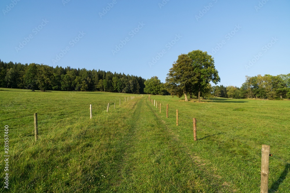 Wooden fence on the farm. Czech Republic