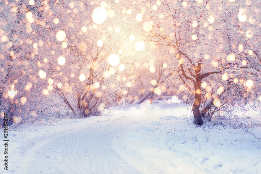 Obraz premium Oświetlenie zimowe