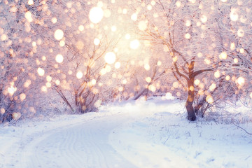 Winter holiday illumination