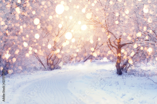 Winter holiday illumination