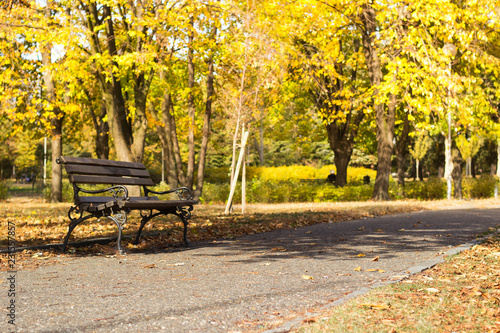 Bench in autumn park