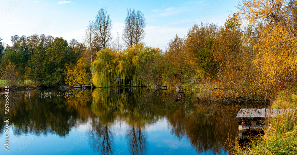 Fototapeta premium Autumn impressions on a small lake in the north of Berlin, Germany