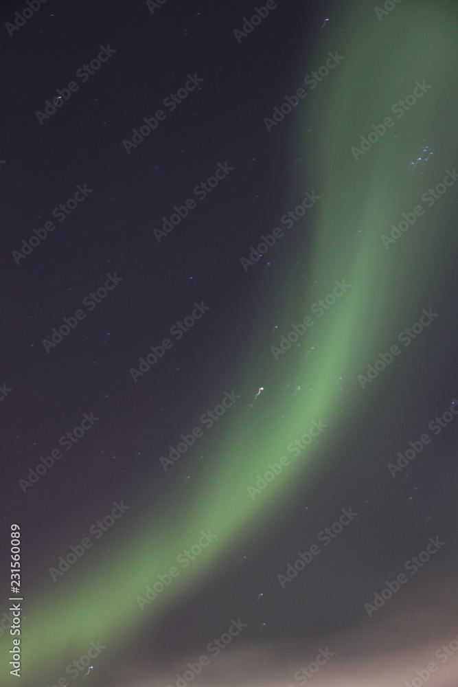 Aurora borealis sky. amazing northern lights