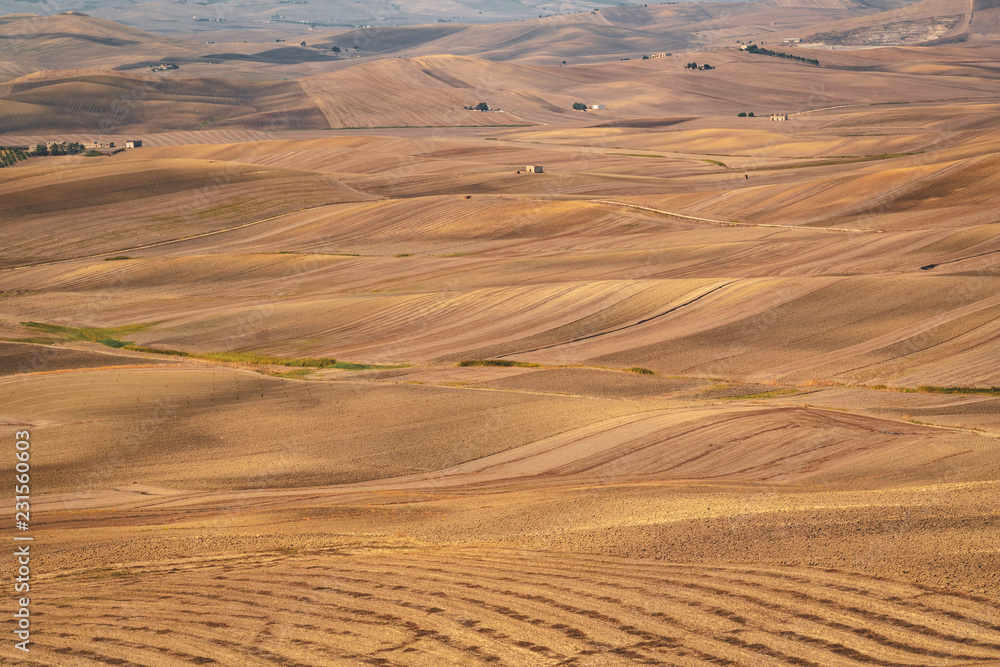 Fototapeta premium Poggoirsini