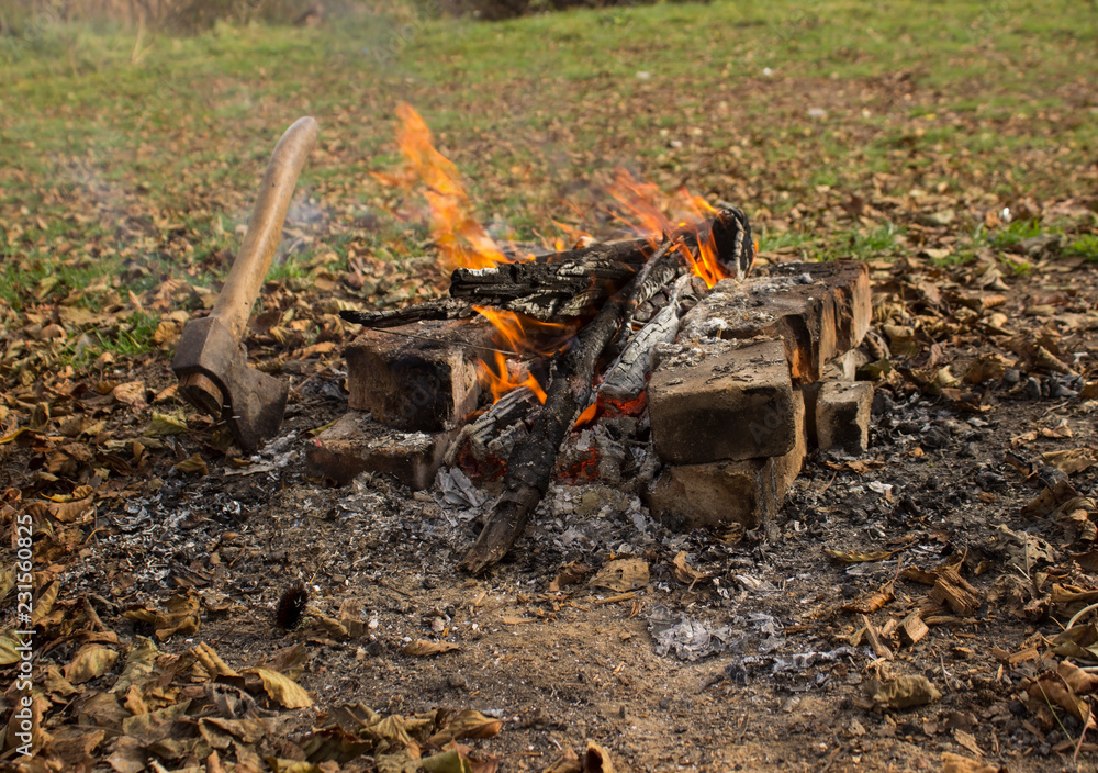 fire in the forest fire in the forest