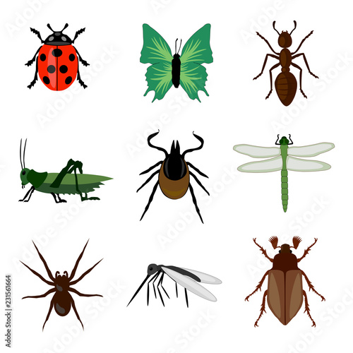 Insekten Set isoliert