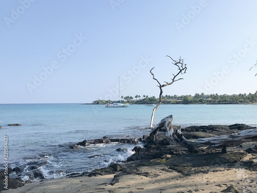 ocean shoreline sailboat Hawaii