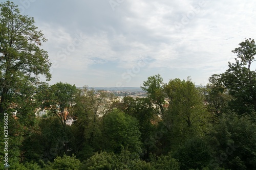 View to the city through tree branches. Brno, Czech Republic