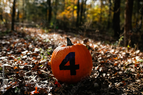 Pumpkin sitting in fallen leaves with the number 4