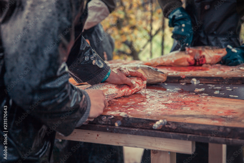 Cutting and cleaning of fish after fishing Cutting and cleaning of fish after fishing