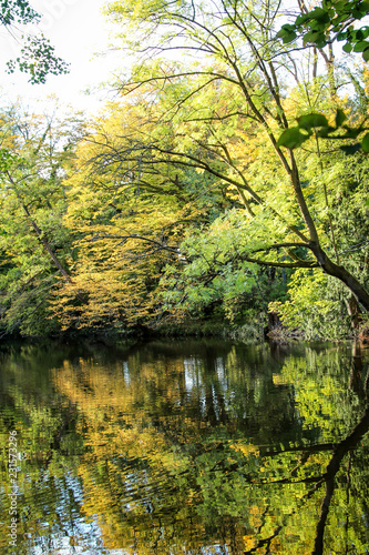 Ein Teich im Herbst 