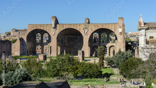 View of the Roman Forum and the city of Rome from Palatine Hill. The forum with its adjoining buildings is located in the center of ancient Rome. Temples  arches  basilicas and other buildings. 