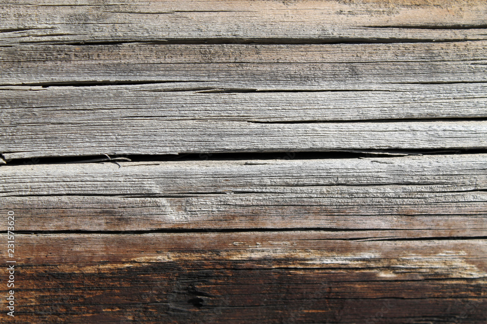 The old wood texture with natural patterns. Inside the tree background. Old grungy and weathered grey wooden wall planks texture background The old wood texture with natural patterns. Inside the tree background. Old grungy and weathered grey wooden wall planks texture background