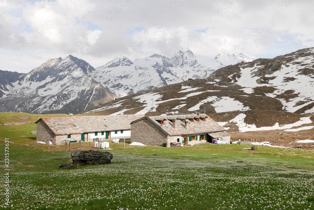Mountain hut surrounded by meadows with flowers and snowy mountains at 