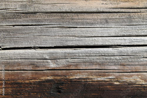 The old wood texture with natural patterns. Inside the tree background. Old grungy and weathered grey wooden wall planks texture background