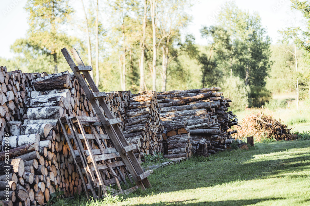 A Pile of Logs in the Backyard on the Sunny Summer Evening - Vintage Film Look A Pile of Logs in the Backyard on the Sunny Summer Evening - Vintage Film Look