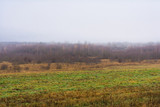 field and hills with dry grass and breeding, the forest is covered with fog, autumn landscape