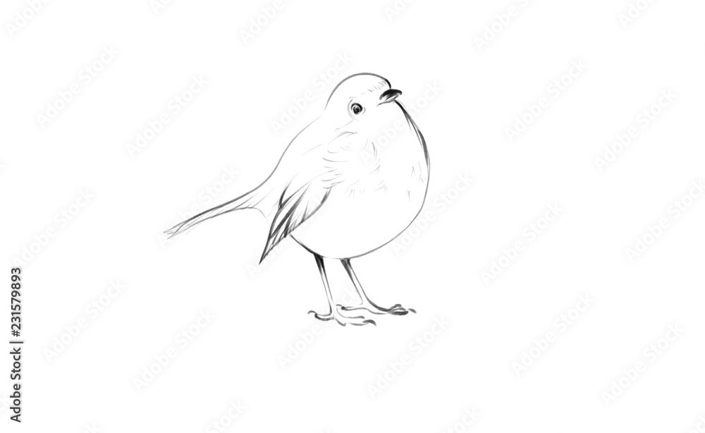 Obraz premium beautiful bird illustration