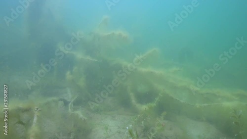 Unterwasserlandschaft 30