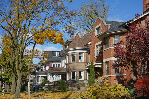 Photography Tree lined residential street with fall colors