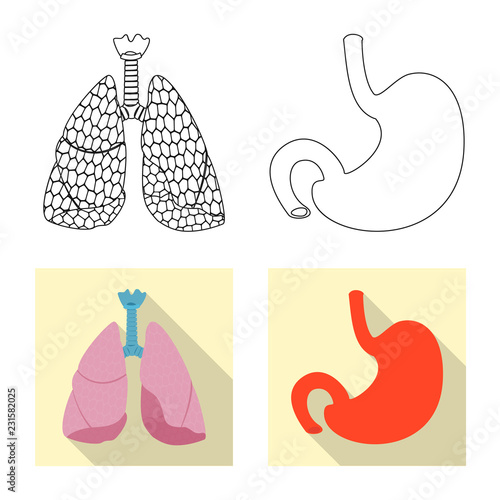 Vector illustration of body and human symbol. Set of body and medical stock symbol for web.
