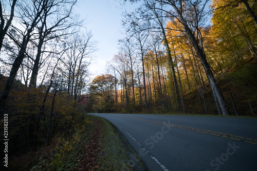 Winding Road in Pisgah Forest, North Carolina