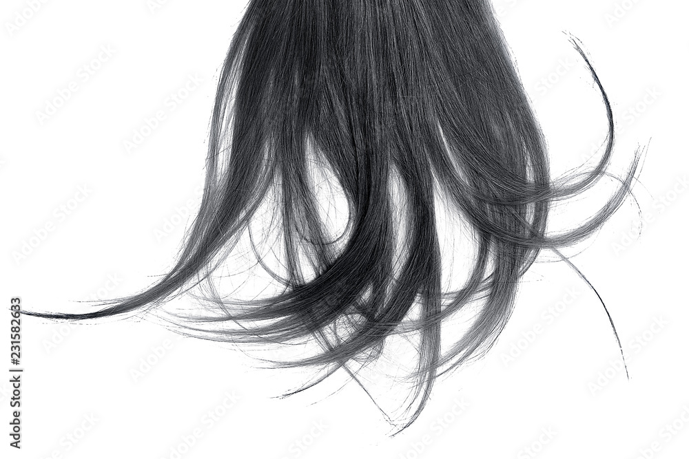 Disheveled black hair isolated on white background