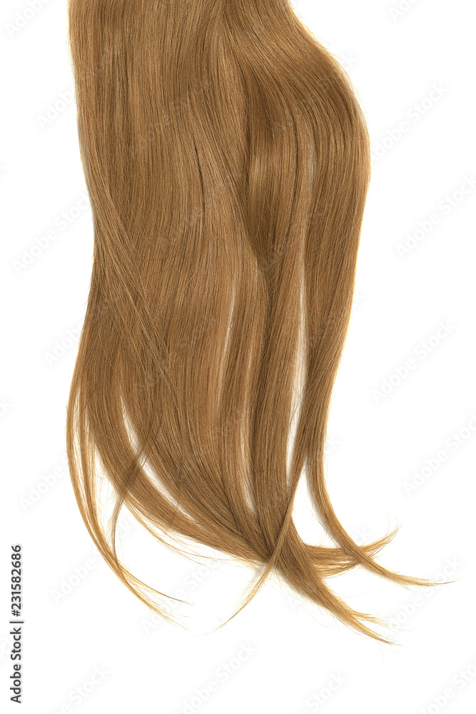Disheveled brown hair isolated on white background Disheveled brown hair isolated on white background