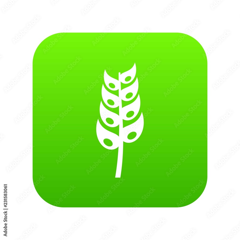 Ripe spica icon digital green for any design isolated on white vector illustration Ripe spica icon digital green for any design isolated on white vector illustration