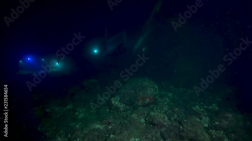 Wallpaper Mural Nachttauchen 2 Torontodigital.ca