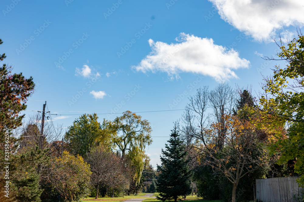 Obraz premium Landscape