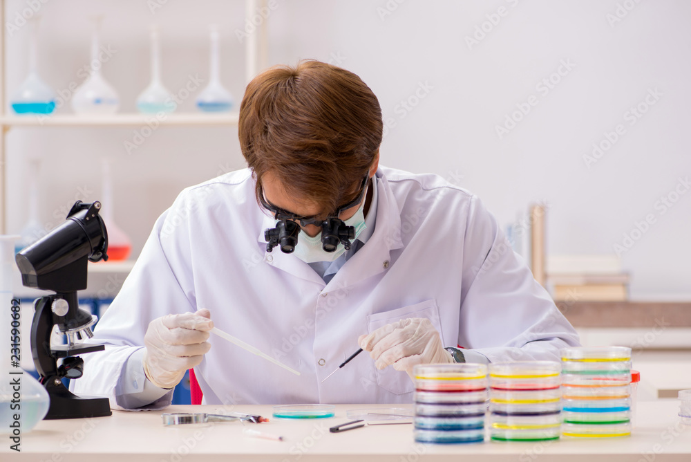Young chemist working in the lab Young chemist working in the lab