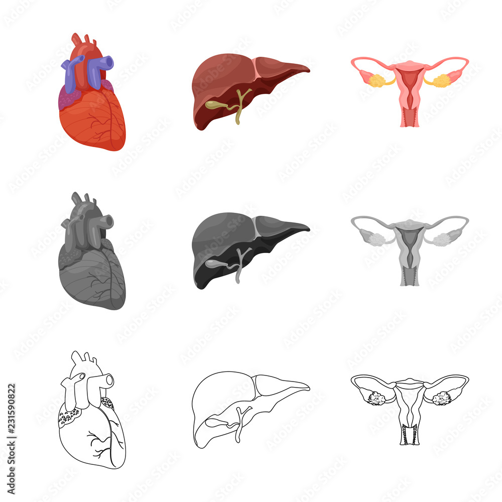 Obraz premium Isolated object of body and human sign. Set of body and medical stock vector illustration.