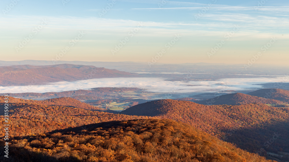 Fog lays in the Shenandoah valley as autumnal colors explode in the forest during fall in Shenandoah National Park Fog lays in the Shenandoah valley as autumnal colors explode in the forest during fall in Shenandoah National Park