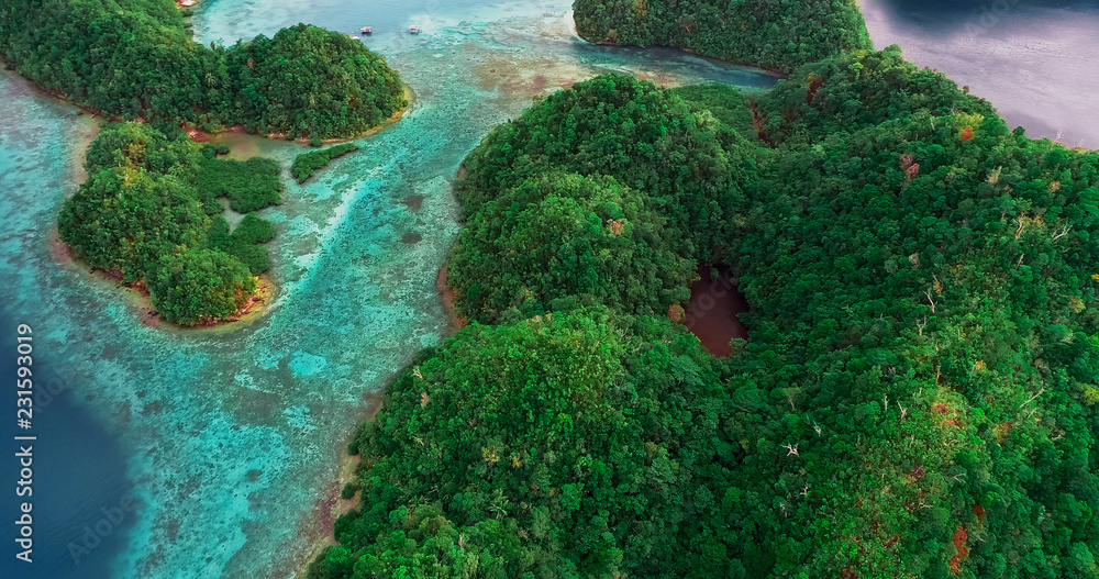 Aerial view of Sugba lagoon. Beautiful landscape with blue sea lagoon, National Park, Siargao Island, Philippines