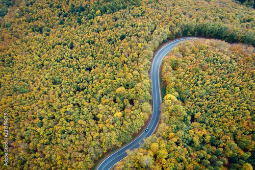 Aerial view of winding road thorugh Pezinska baba forest in autumn colors, Slovakia