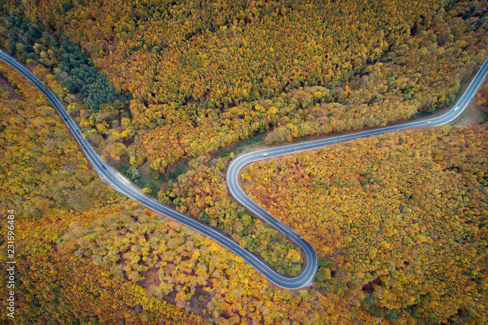 Aerial view of winding road  thorugh Pezinska baba forest in autumn colors, Slovakia
