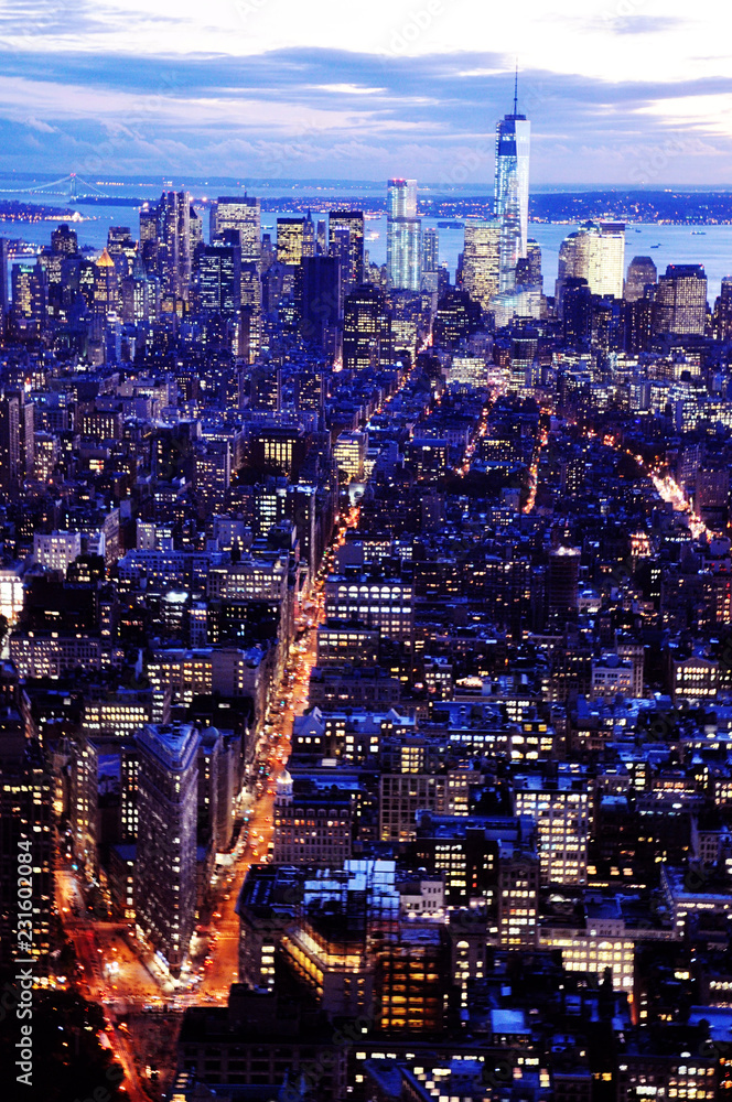 Obraz premium New York at sundown