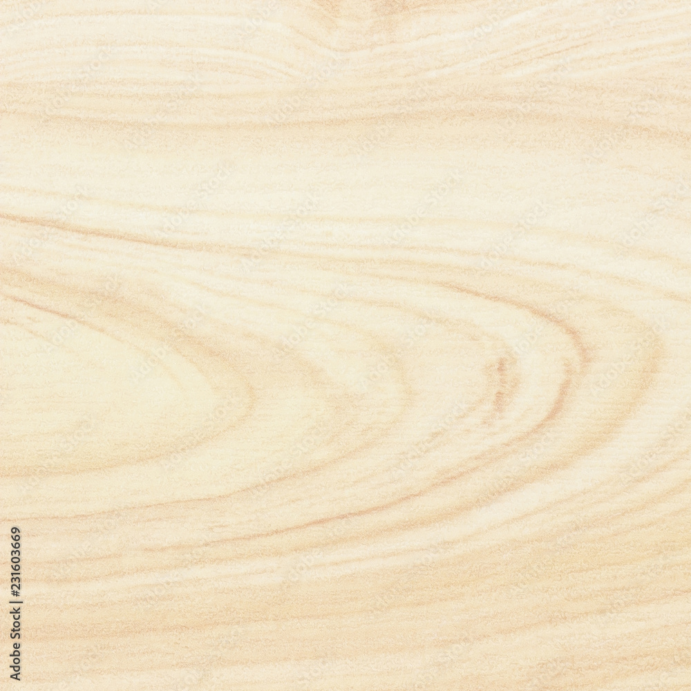 Wood background or texture Wood background or texture