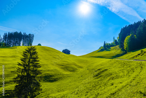 Green fields with blue sky  Schoenengrund  Hinterland  Appenzell