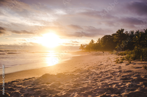 Waves lap at the beach during sunset in Santa Teresa, Costa Rica photo