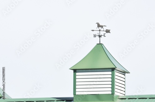 Canvas Print Horse Weathervane